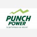 PUNCH POWER